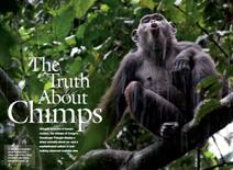 GTAP in National Geographic magazine